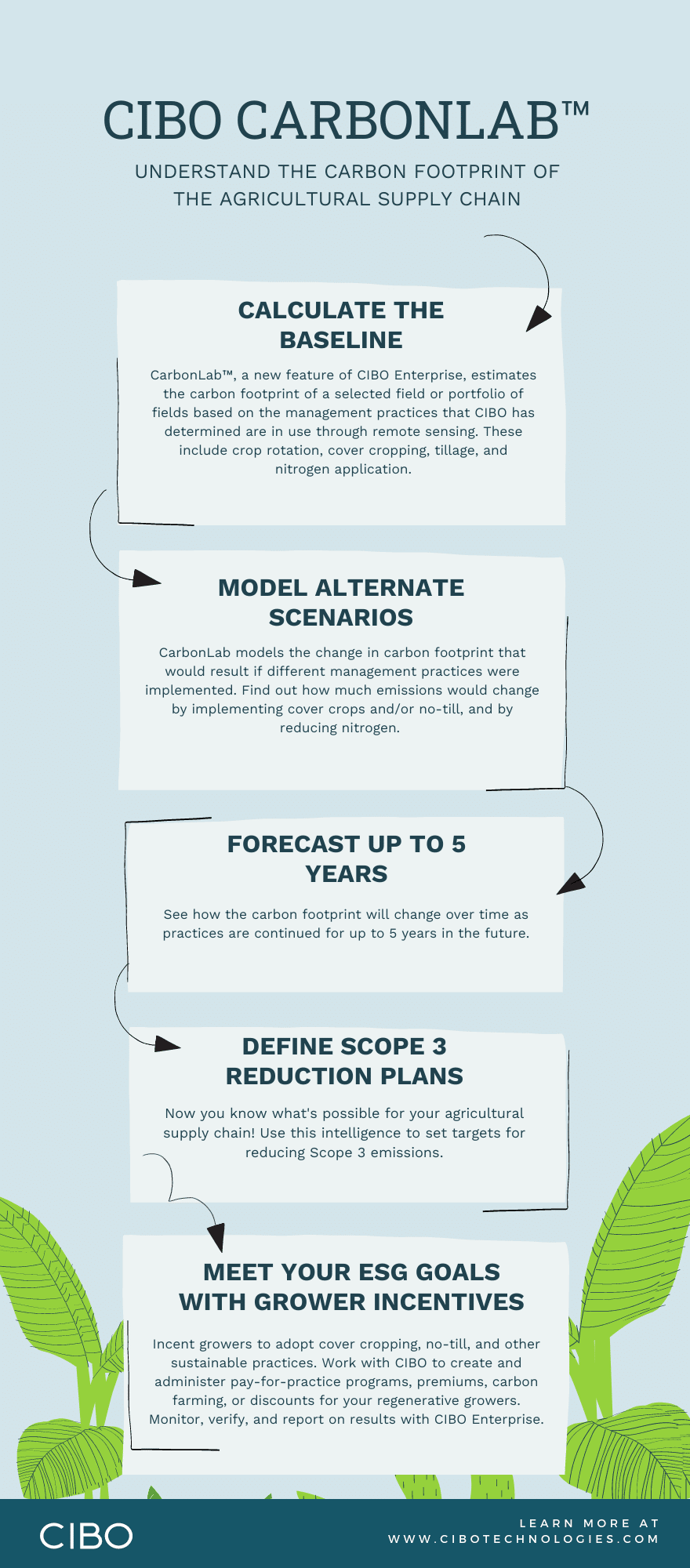 Infographic-CarbonLab_large