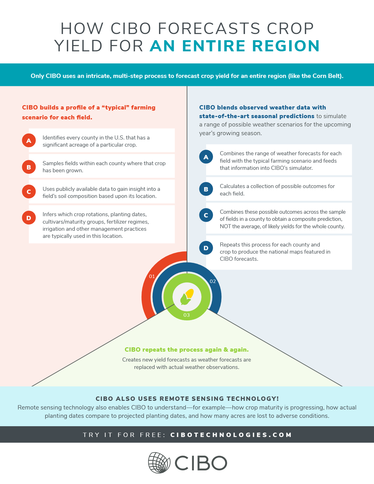 Infographic-How-CIBO-forecasts-crop-yield