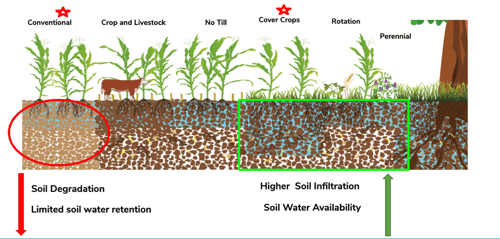 Soil-water-retention-across-various-management-practices