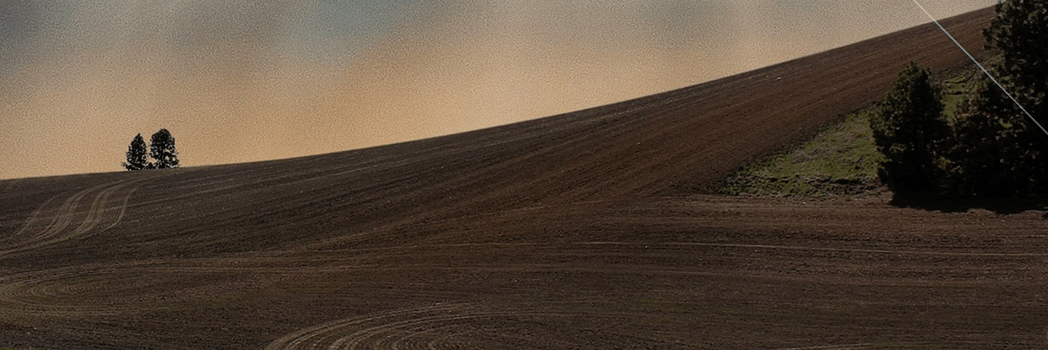 Blog-Cover-How-Crop-Modeling-is-the-Key-to-Solving-Carbon-Farming-1