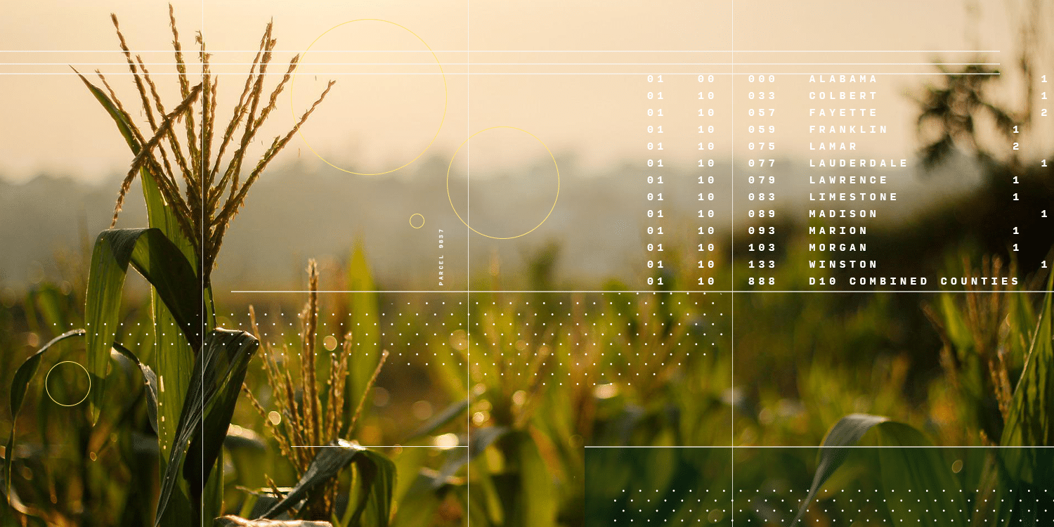 CIBO-collage_corn-sunet