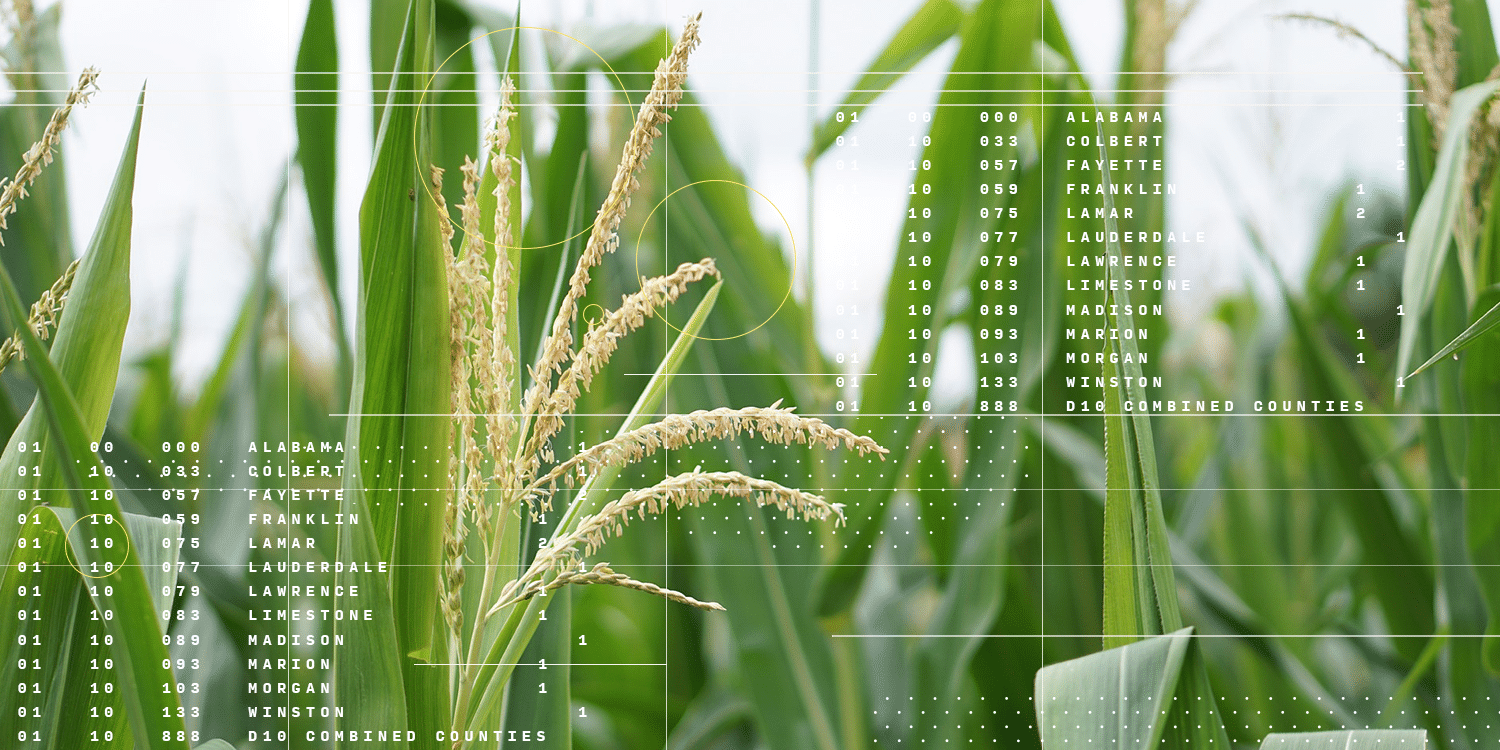 CIBO-collage_ucorn-5