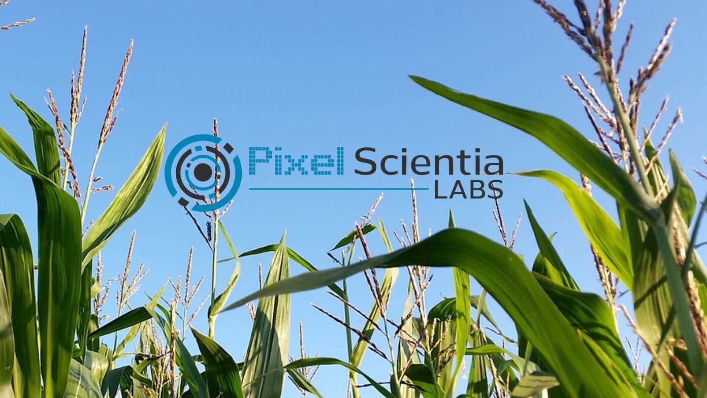 Pixel-Blog-Card