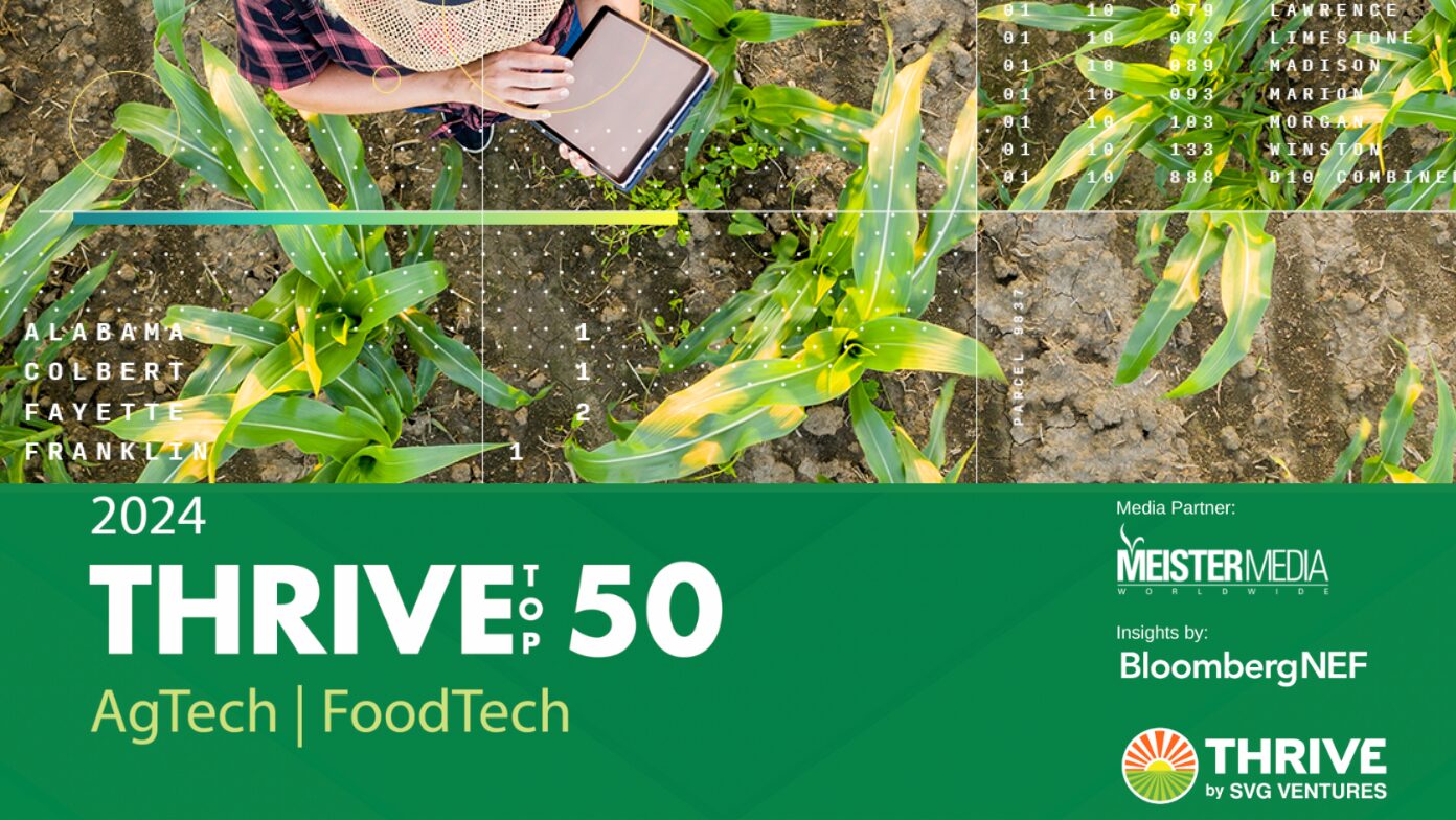 THRIVE-PR-Blog-Card