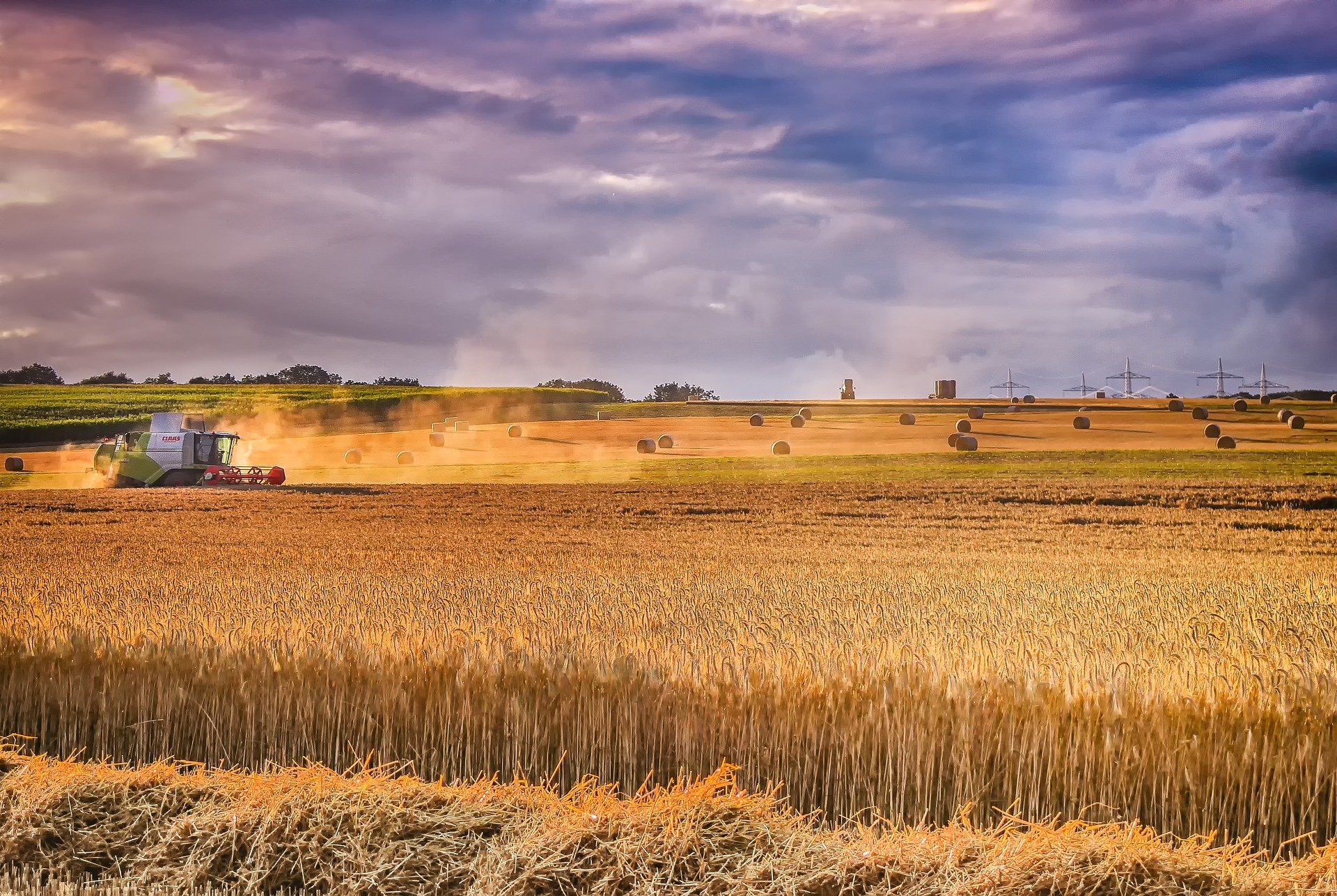 agriculture-3279024_1920