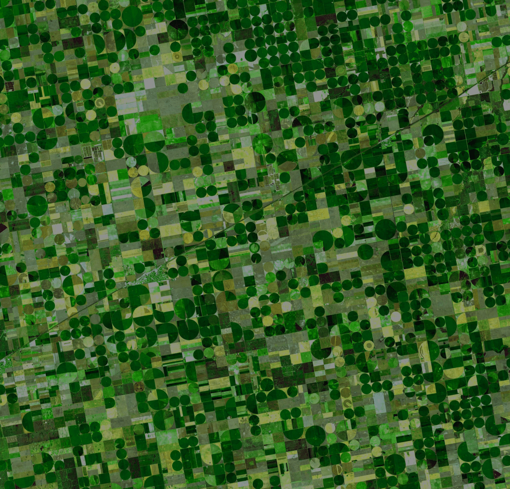field-2-1024x981