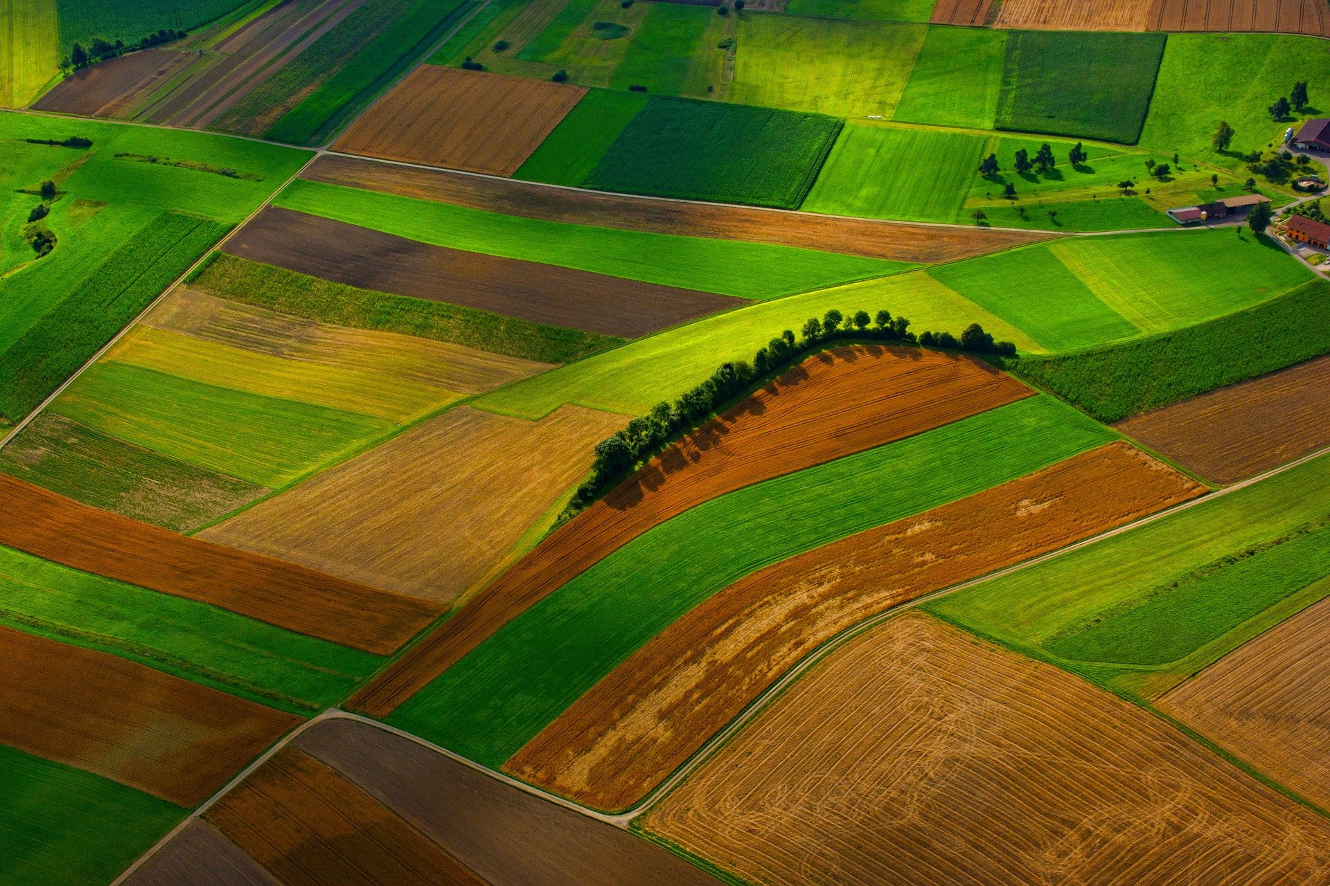 field-2572133_1920