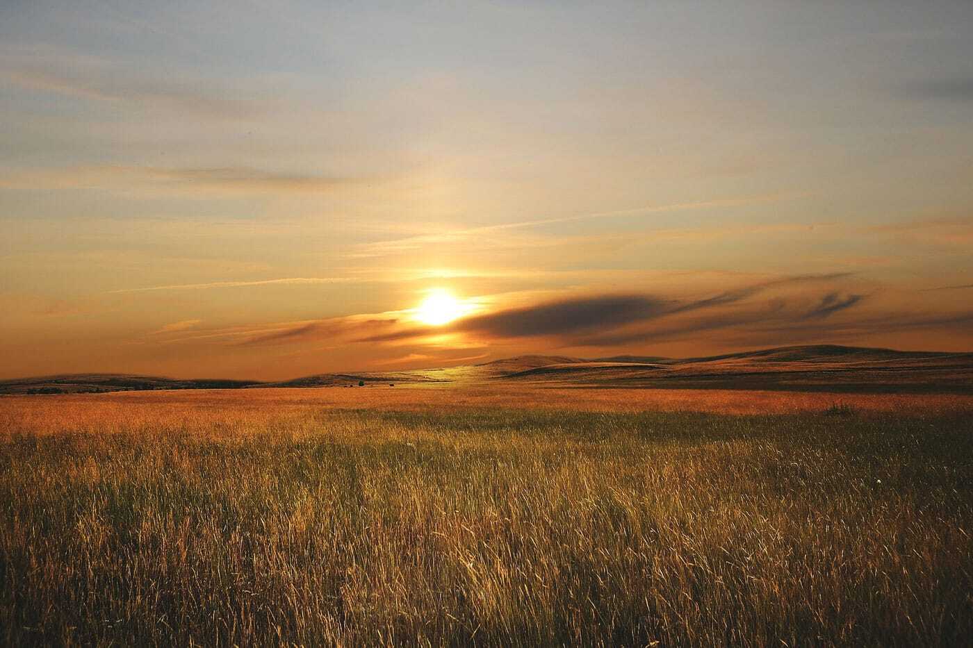 landscape-4432944_1920