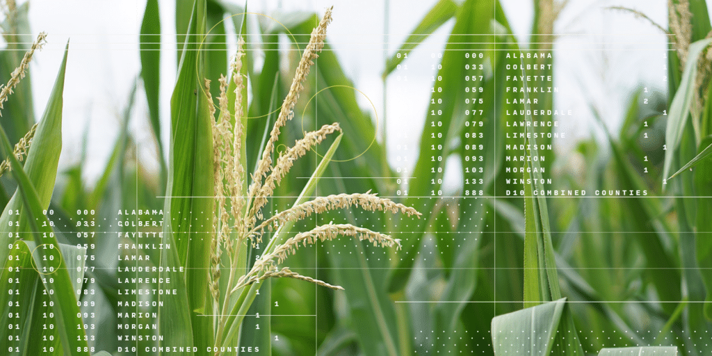 CIBO-collage_ucorn-5-1024x512