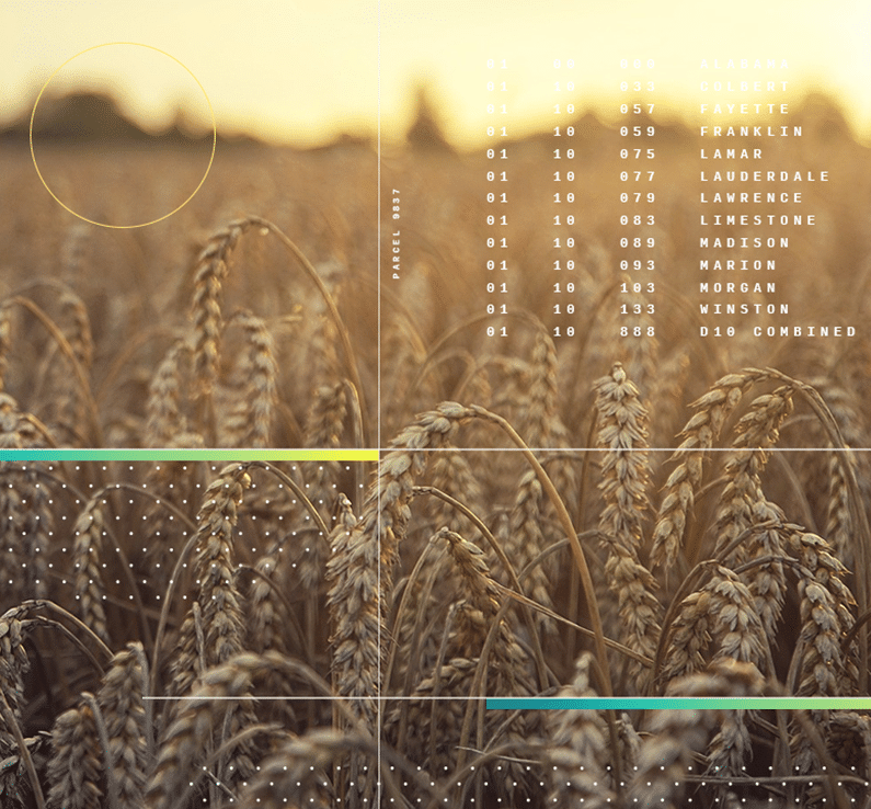 CIBO-Wheat-a